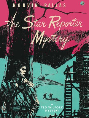 cover image of The Star Reporter Mystery